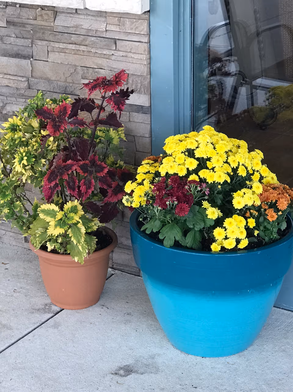 Two flower pots placed on a concrete floor near a stone wall and a glass door. One pot is terracotta with green and red foliage plants, and the other is a large blue pot filled with yellow, red, and orange flowers.