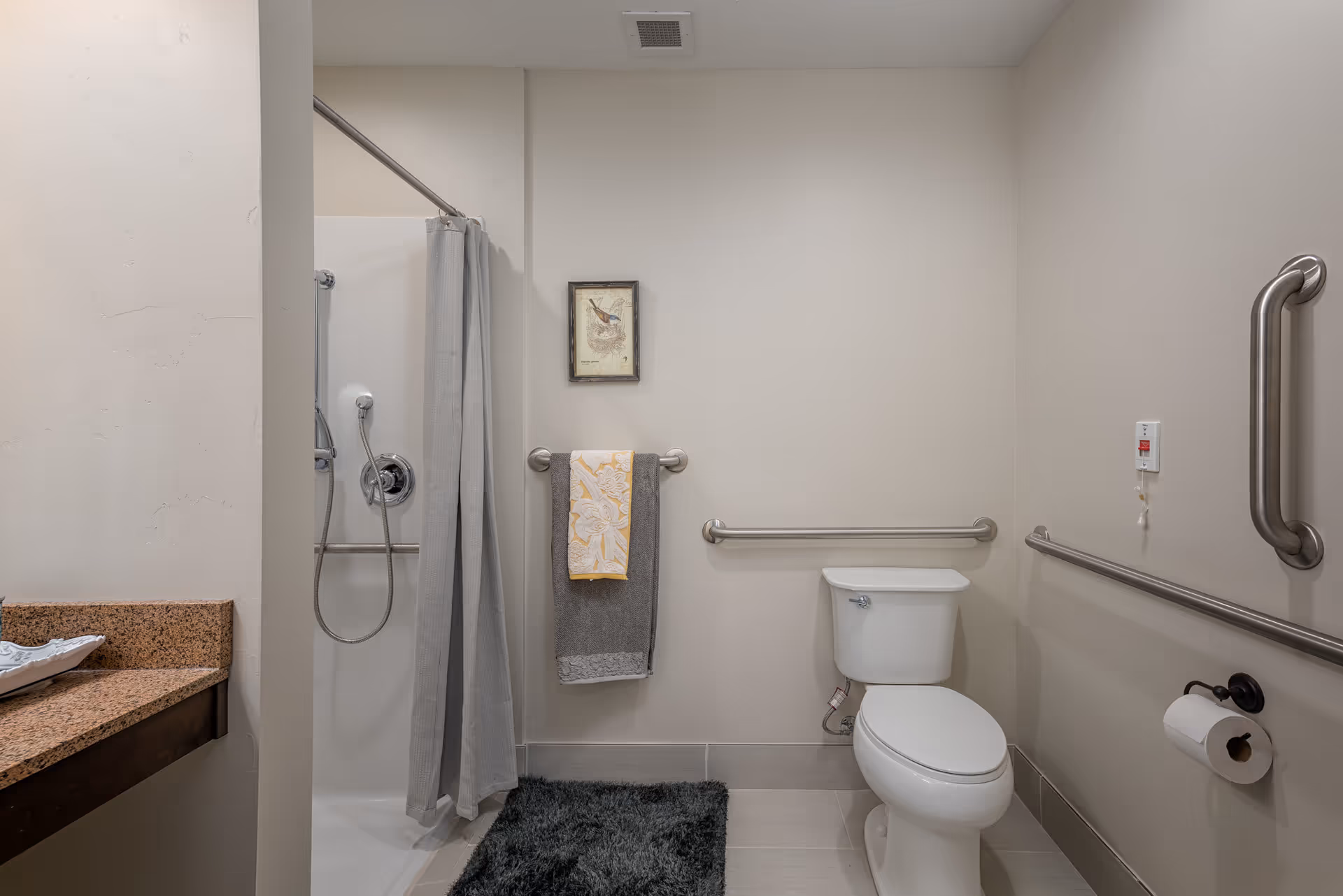 Accessible bathroom with a shower and curtain, toilet, multiple grab bars, a towel on a rail, and a dark bath rug.