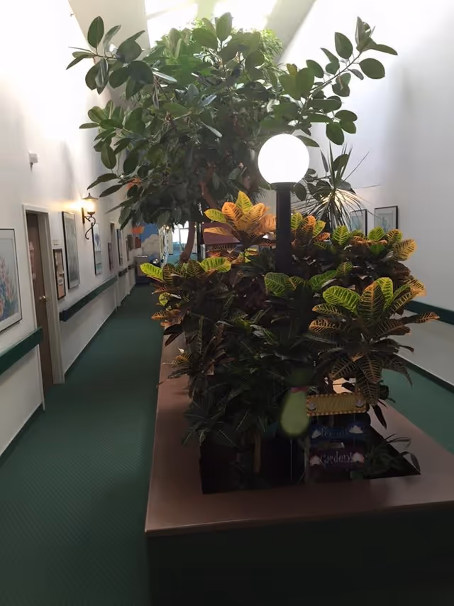Indoor hallway with green carpet and white walls featuring framed artwork. A large planter with various green and yellow leafy plants is in the center, topped with a round white lamp. The hallway has doors and wall-mounted lights along the left side.