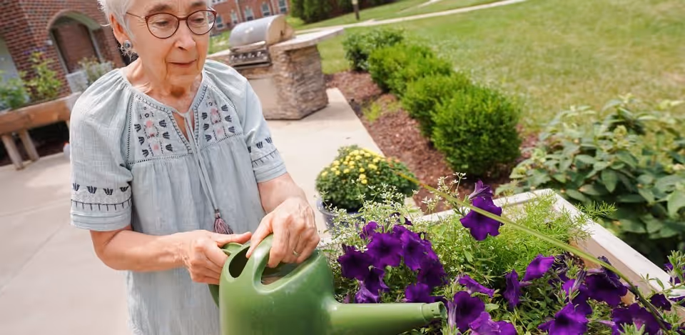An elderly woman wearing glasses and a light blue embroidered blouse is watering purple flowers in a raised garden bed outdoors. The background shows a paved walkway, green bushes, and part of a brick building.
