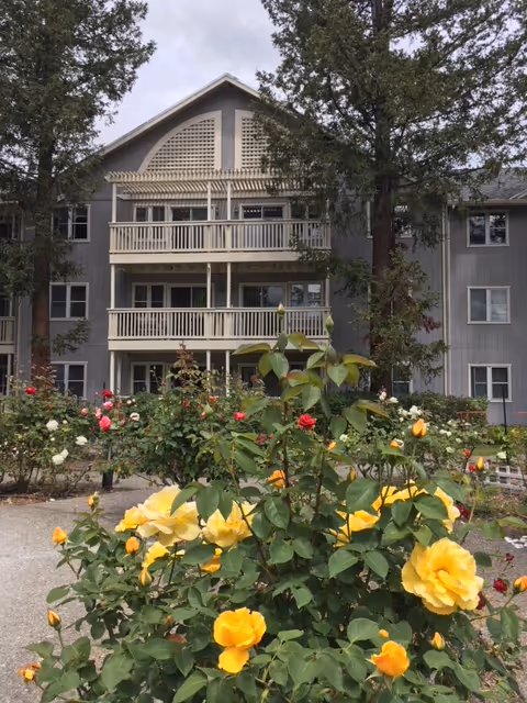 Exterior view of a multi-story senior living facility building with balconies, surrounded by a garden with blooming yellow, red, and white roses and tall trees.