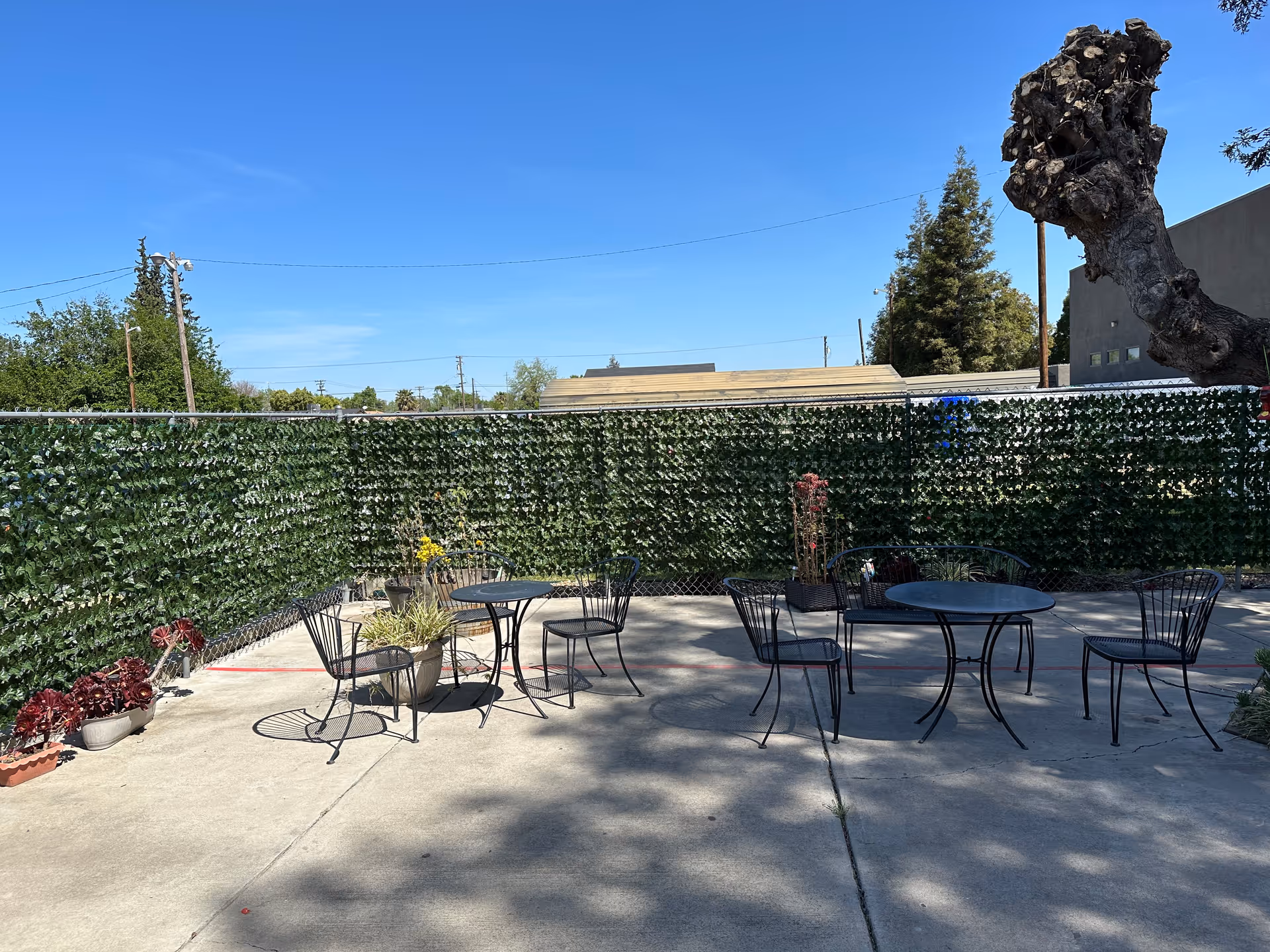 Outdoor patio area with several black metal tables and chairs arranged on a concrete surface. The area is enclosed by a chain-link fence covered with green ivy. There are potted plants placed around the patio, and a clear blue sky is visible above.
