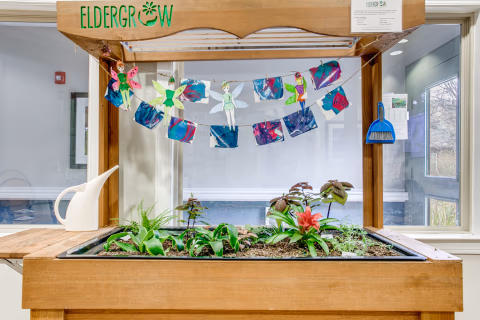 Indoor wooden gardening station labeled 'Eldergrow' with various small plants growing in soil. Above the plants, colorful paper crafts of fairies and painted papers are strung on a line. A white watering can is placed on the left side of the station, and a small blue dustpan and brush hang on the right side. The background shows windows and a hallway inside a building.