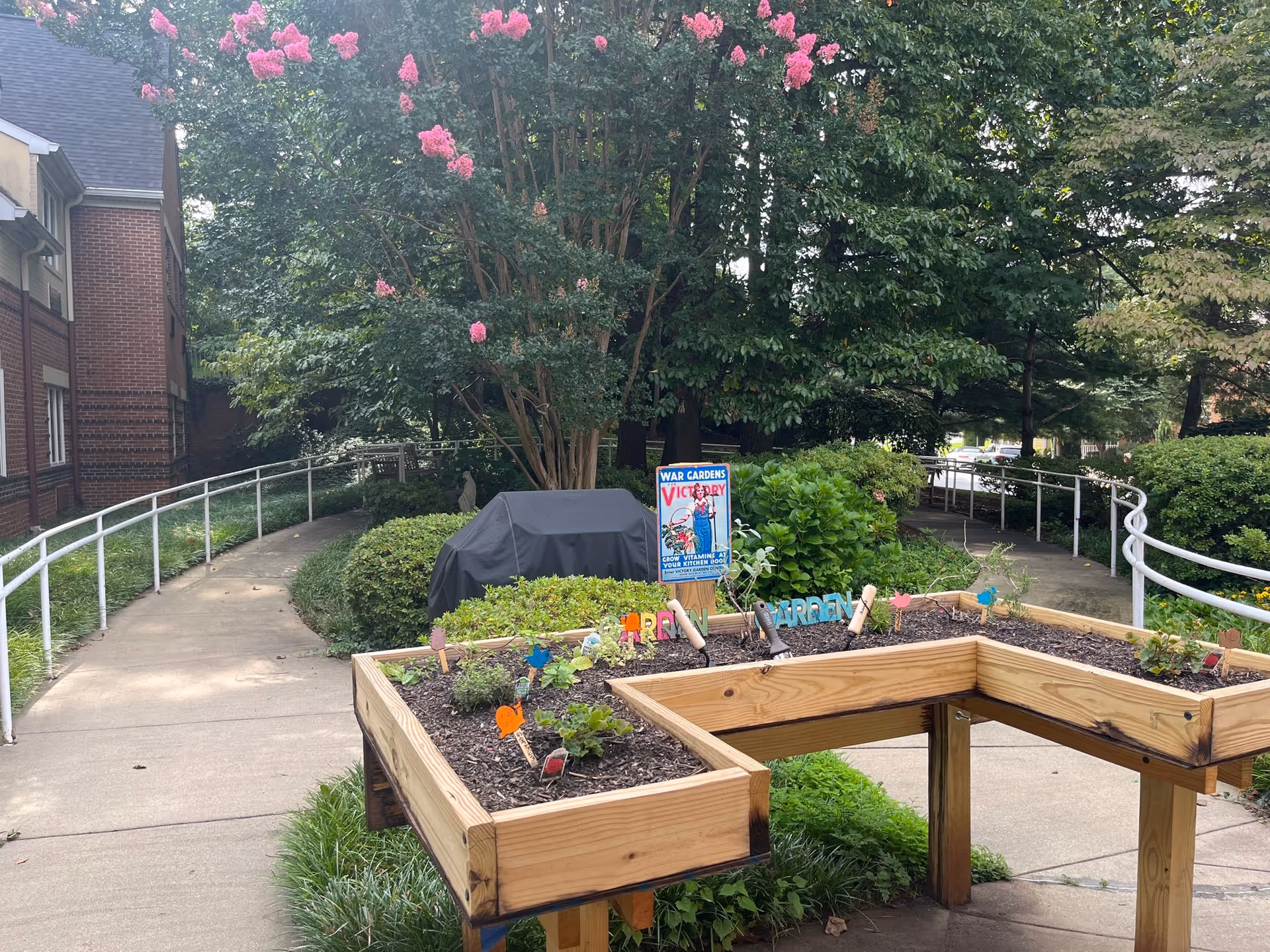Outdoor garden area at Bartholomew House featuring a raised wooden planter box with small plants and gardening tools. A colorful sign reads 'War Gardens Victory' with an illustration of a woman gardening. Surrounding the garden are green bushes, trees with pink flowers, and a paved walkway with white railings.