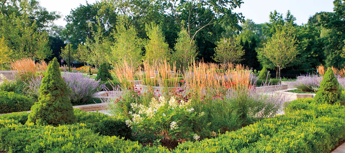 Well-maintained landscaped garden with shrubs, ornamental grasses, flowering plants, and trees.