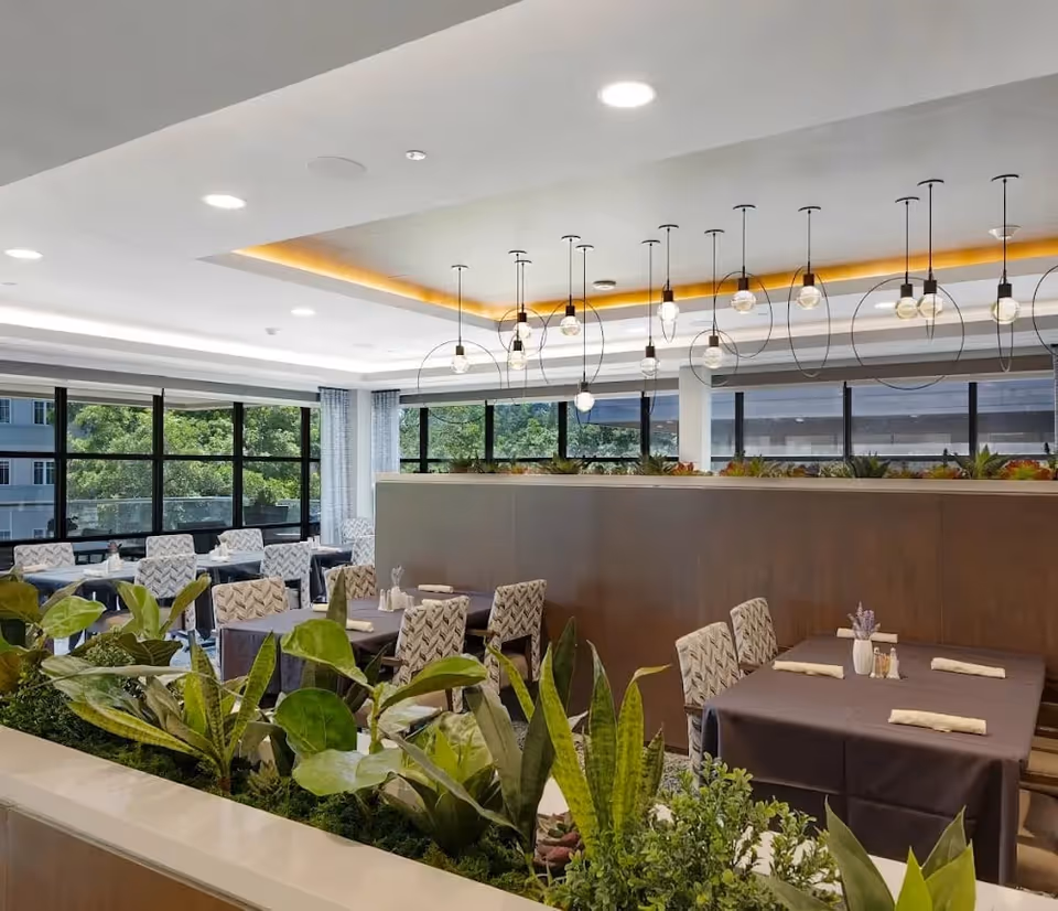 A modern dining room with multiple tables covered in dark tablecloths, each set with rolled napkins and small vases with flowers. The room features large windows letting in natural light, patterned chairs, hanging circular pendant lights, and a planter with green plants in the foreground.