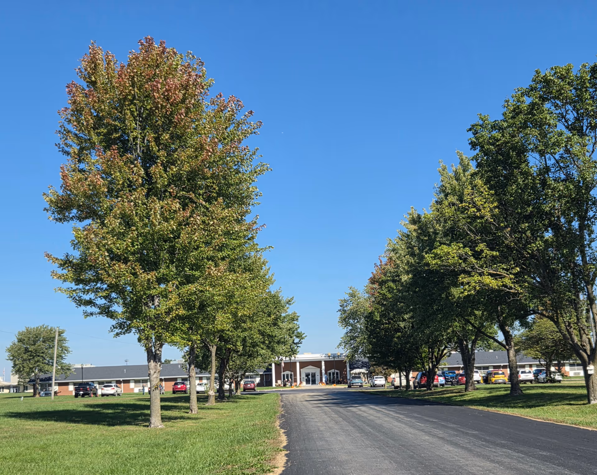 Driveway lined with trees leading to the front of a single-story nursing and rehabilitative center with parked cars on a sunny day.