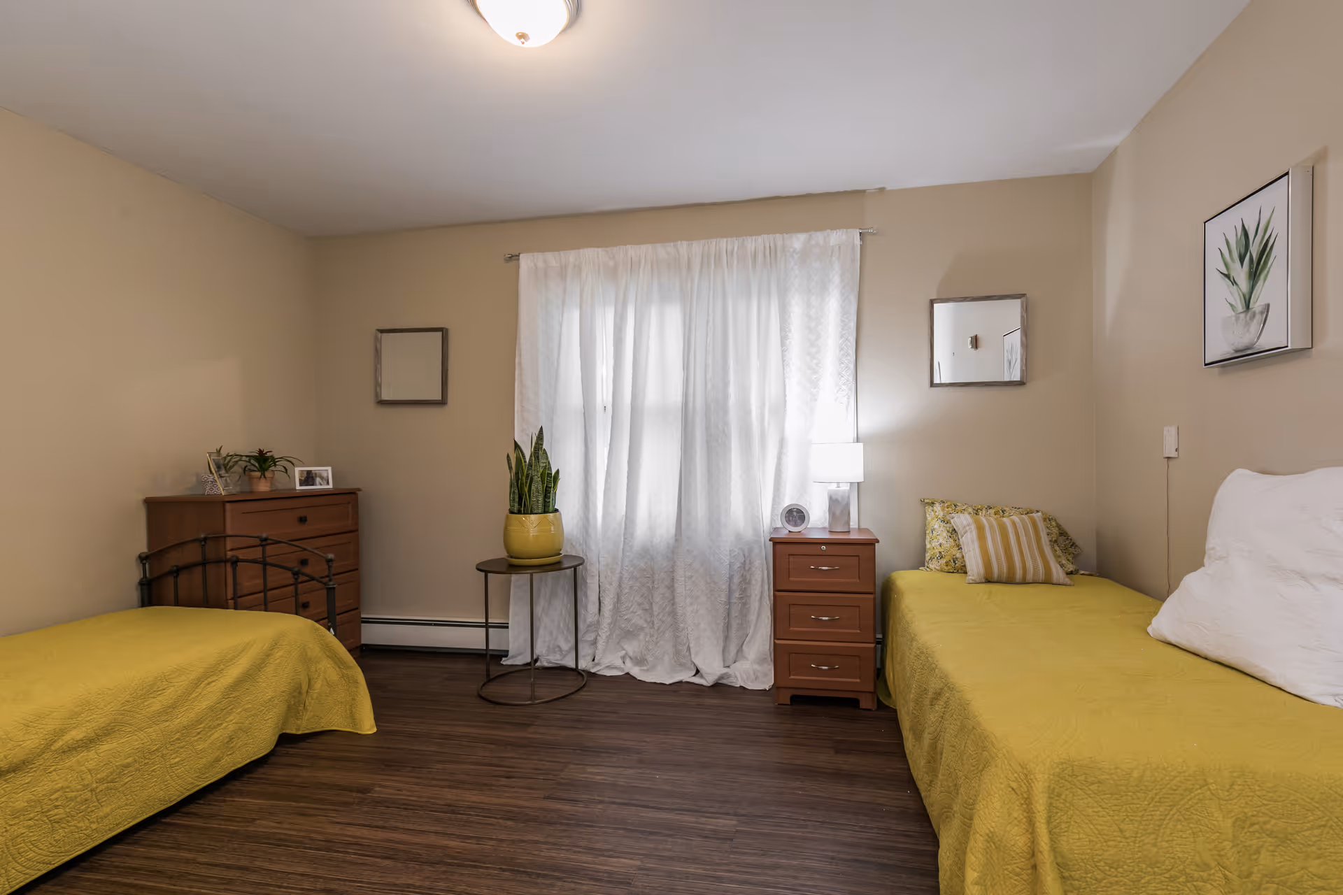 A bedroom with two twin beds covered in yellow bedspreads, a wooden dresser with plants and picture frames on top, a small round table with a potted plant, a wooden nightstand with a lamp and clock, two small square mirrors on the walls, and a window with white curtains letting in natural light.