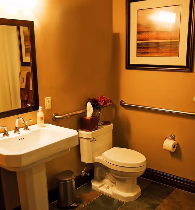 A bathroom with a white pedestal sink, a toilet with a tissue box and flowers on top, a wall-mounted toilet paper holder, a framed artwork on the wall, and grab bars installed for accessibility.