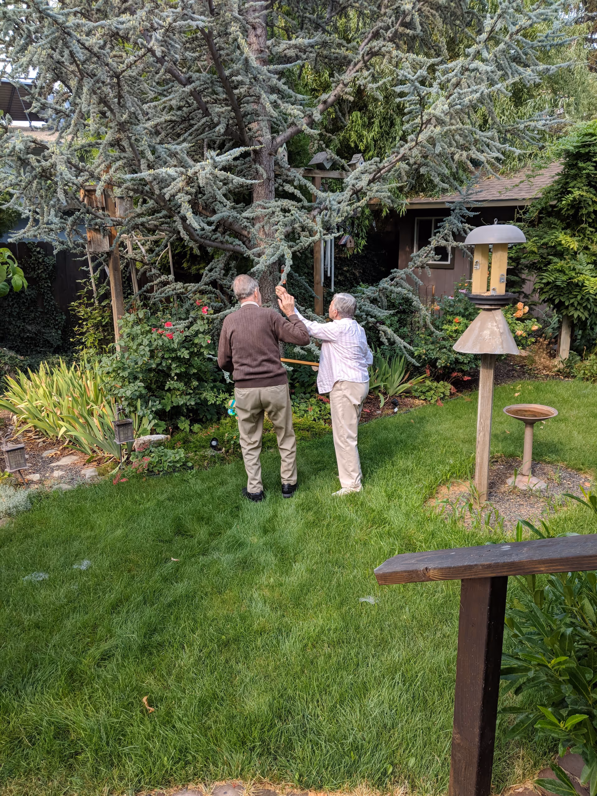 Two elderly people standing on a green lawn in a garden, looking at and interacting with a tree surrounded by various plants and flowers. There is a bird feeder and a bird bath nearby, with a wooden structure and a small building in the background.