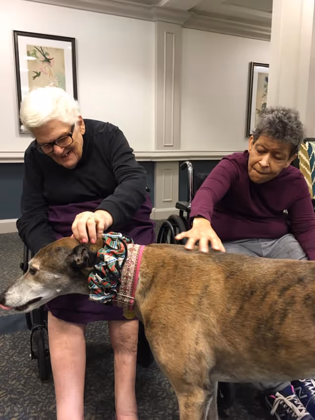 Two elderly women sitting in wheelchairs indoors, smiling and petting a large brown dog wearing a colorful collar. The room has framed artwork on the walls and decorative molding.