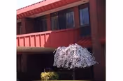 Brick senior facility exterior with red accents and a flowering tree in front