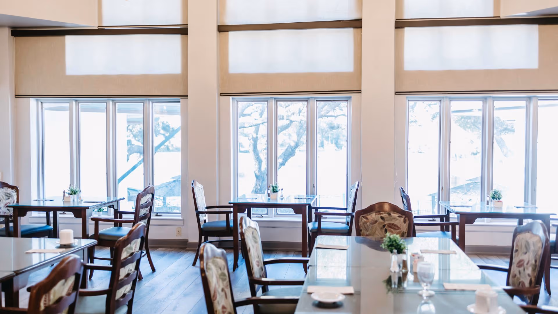 Bright dining room with multiple tables and chairs arranged neatly. Each table has small decorative plants and some have table settings including glasses and plates. Large windows with blinds allow natural light to fill the room.