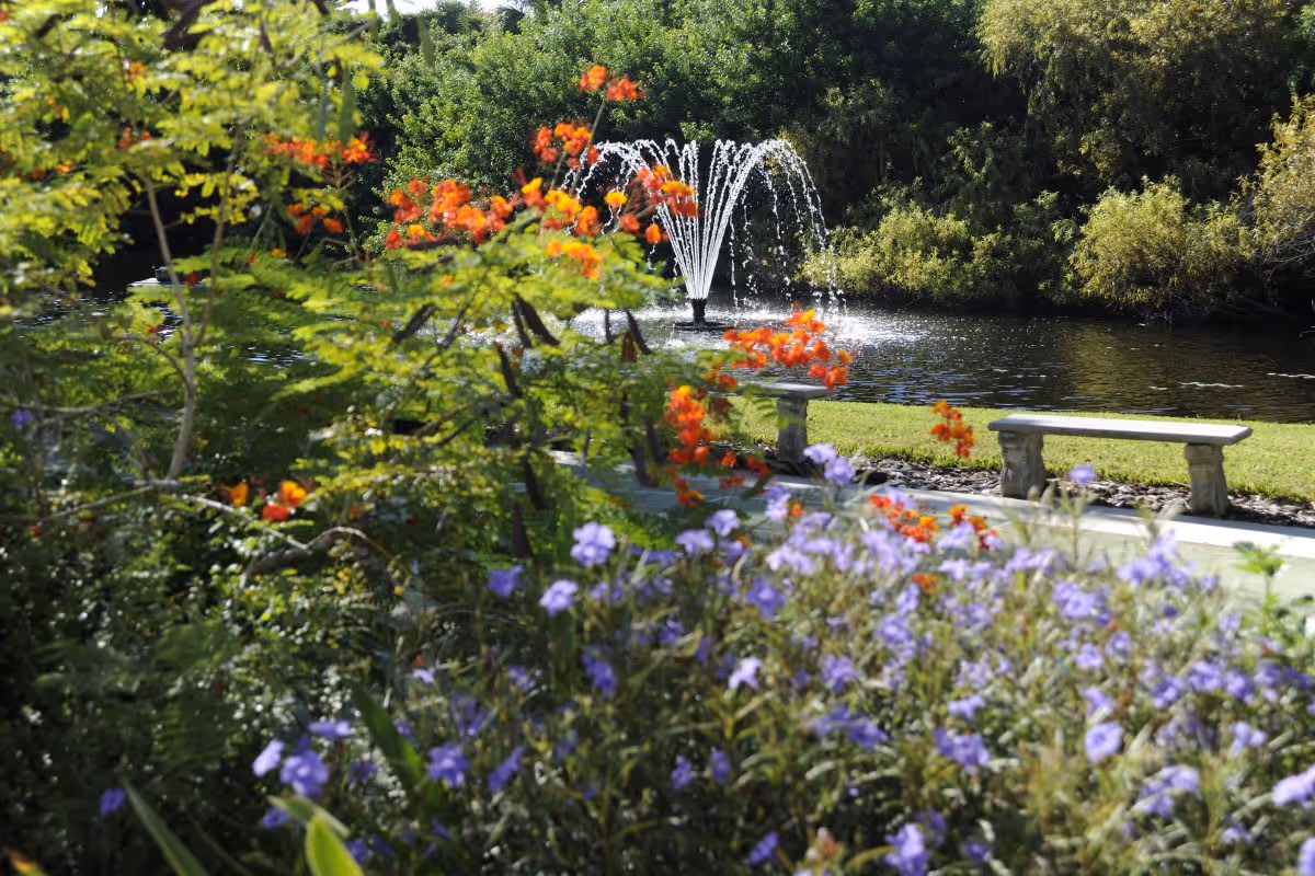 A garden area with vibrant orange and purple flowers in the foreground, a small pond with a water fountain spraying water in the background, surrounded by green trees and bushes, and a stone bench near the pond.