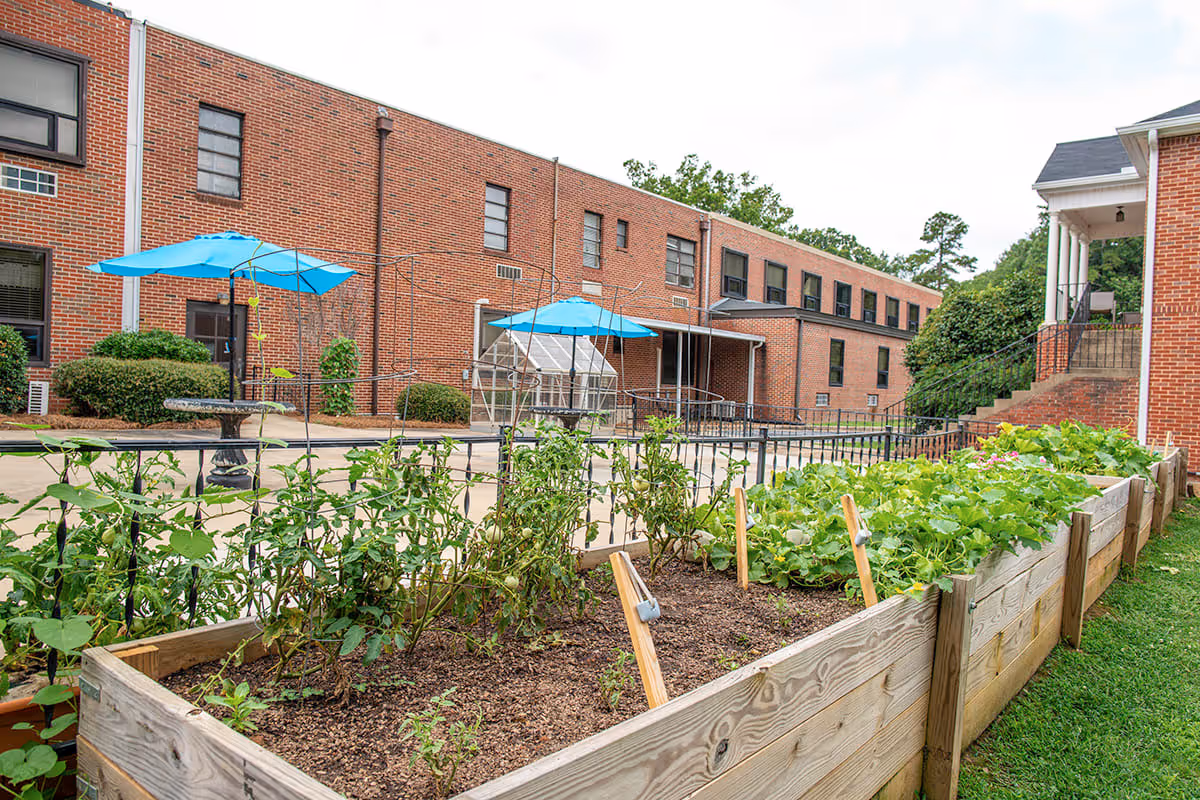 Raised garden beds with various plants growing in them, situated outdoors near a brick building with multiple windows. Two blue umbrellas provide shade over tables in the background, and there are bushes and a small greenhouse visible near the building.