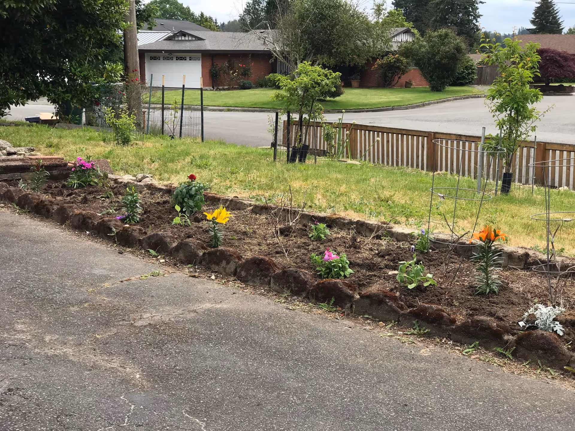 A small garden bed with various flowers and plants along the edge of a paved driveway. In the background, there is a grassy lawn, a wooden fence, and a residential street with houses and trees.