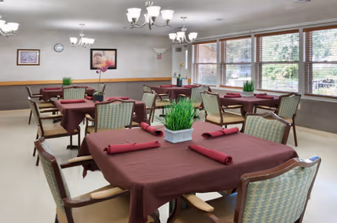 A dining room with burgundy tablecloths, napkins, and potted plants on tables.