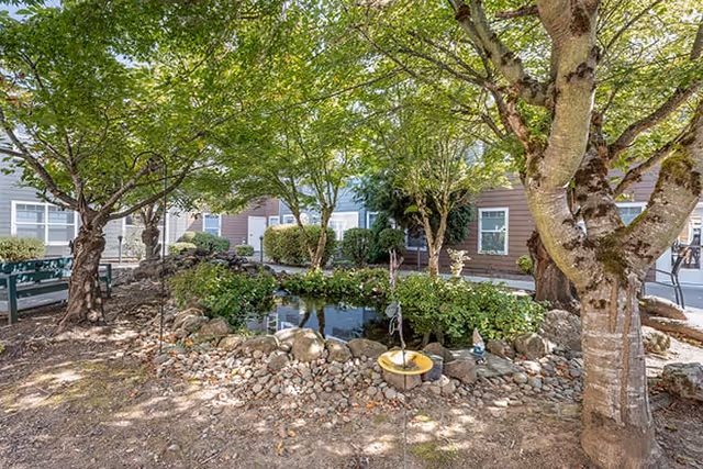 A peaceful outdoor garden area with a small pond surrounded by rocks and greenery. Trees provide shade over the pond and surrounding benches. The exterior of a brown building with white-trimmed windows is visible in the background.