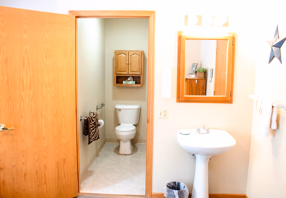 A clean bathroom with an open wooden door showing a toilet with a wooden cabinet above it. A zebra-patterned towel hangs on a rack beside the toilet. Outside the bathroom, there is a white pedestal sink with a mirror above it, a towel rack with a white towel, and a small trash can on the floor.