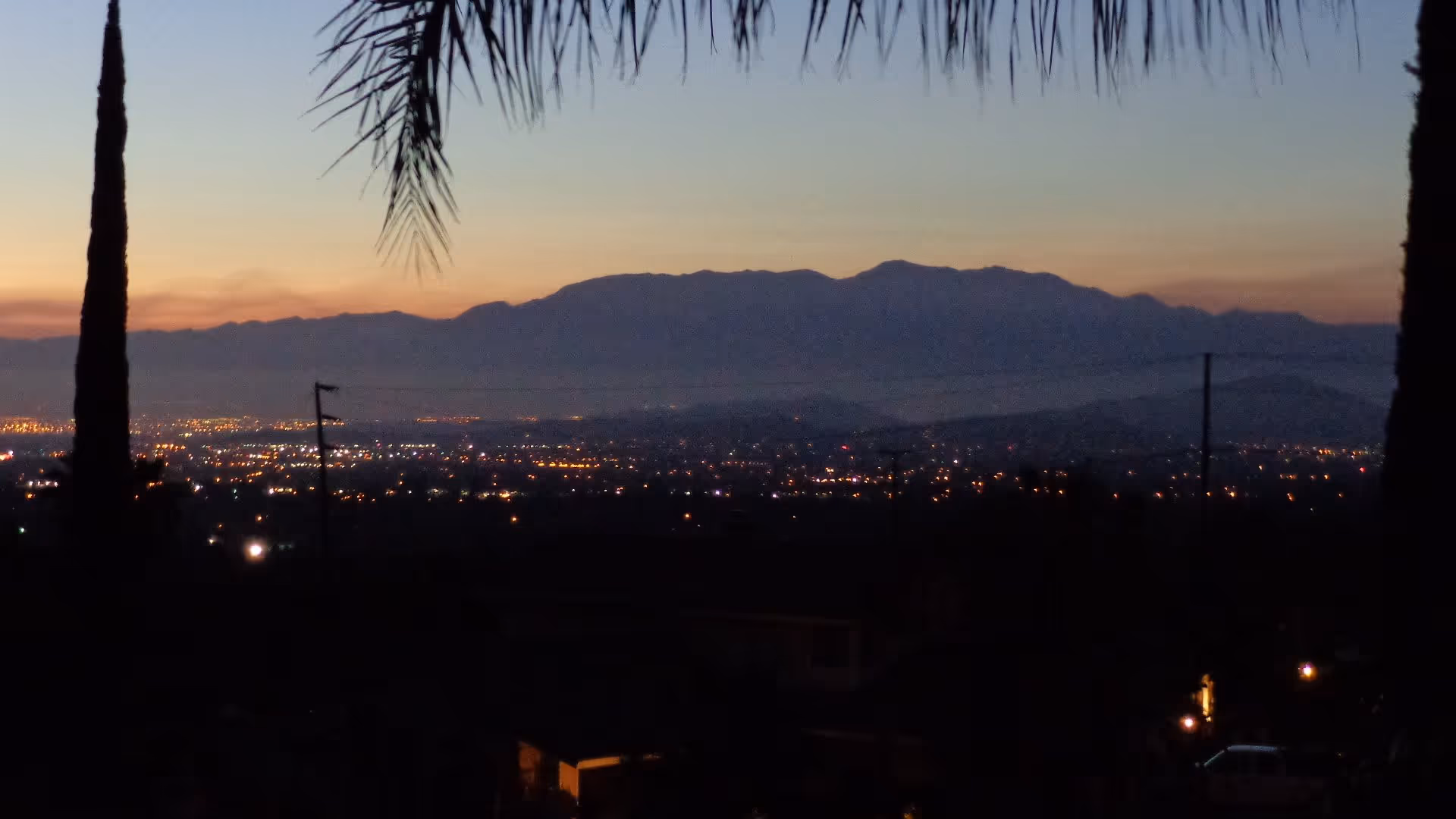 Dusk cityscape with twinkling lights and a mountain silhouette, framed by palm fronds and tall trees in the foreground.