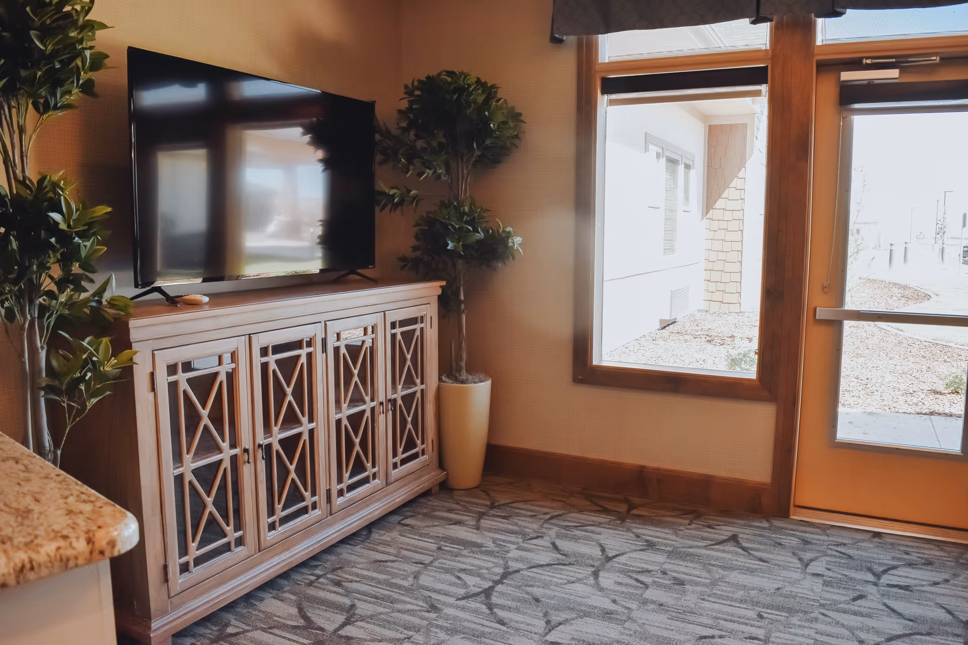 Interior corner of a senior living facility room with a flat-screen TV on a wooden cabinet with glass-paneled doors, two tall potted plants on either side, a large window, and a glass door leading outside. The floor is carpeted with a patterned design.