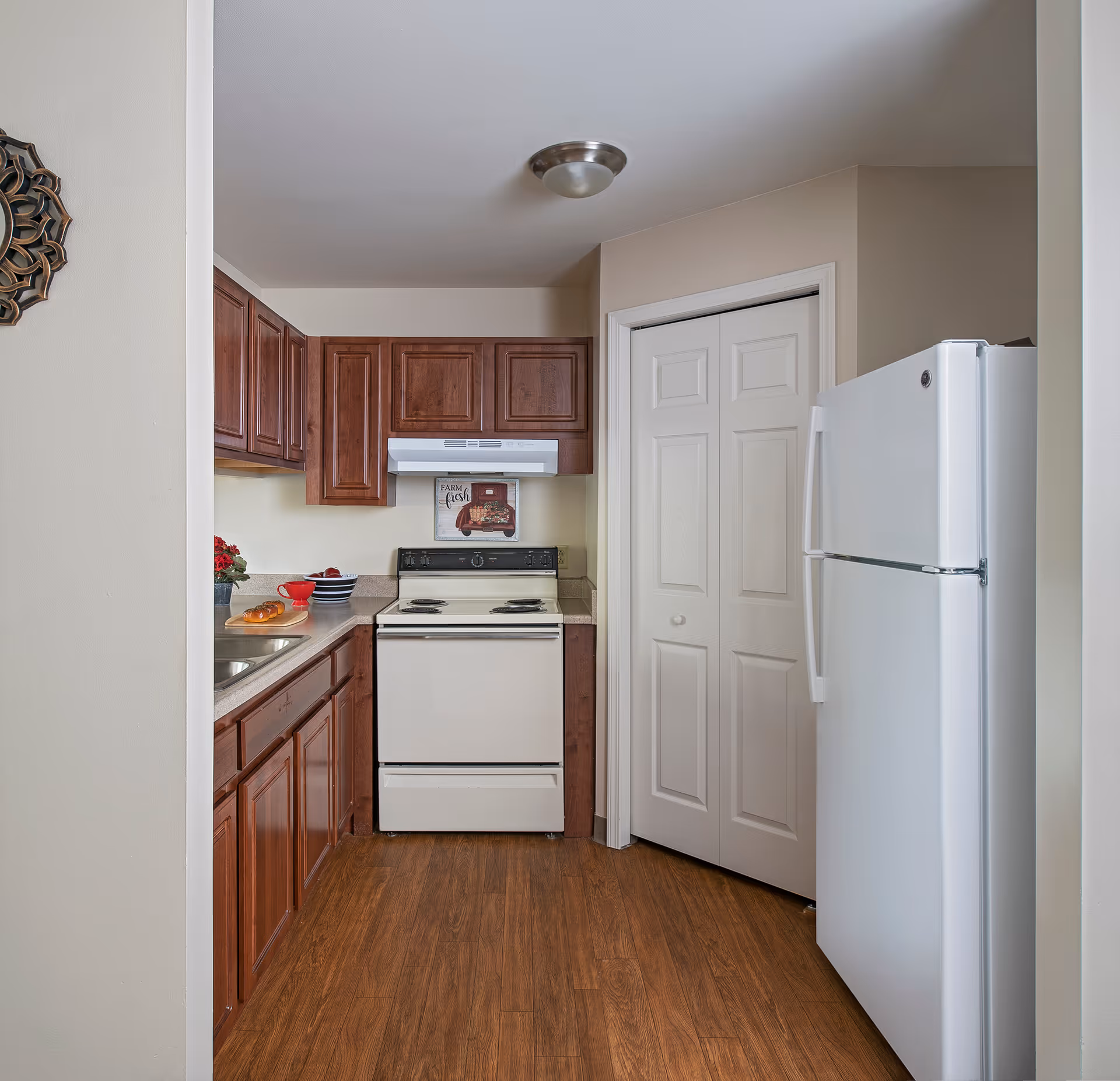 Compact kitchen with a white refrigerator and stove, dark wooden cabinets, a sink with counter accessories, and wood-look flooring.