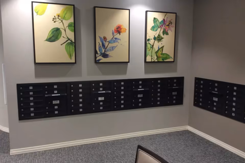 A wall of black mailboxes mounted beneath three framed floral paintings in a hallway or lobby area.