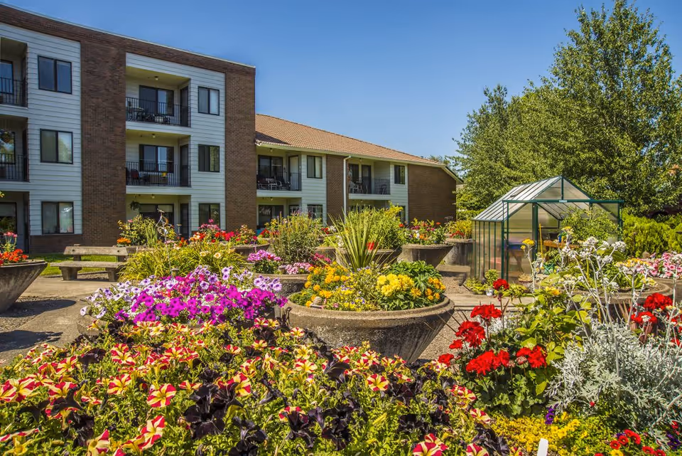 Outdoor garden area at King City Senior Village with colorful flowers in large concrete planters, a small greenhouse, benches, and a multi-story residential building in the background under a clear blue sky.