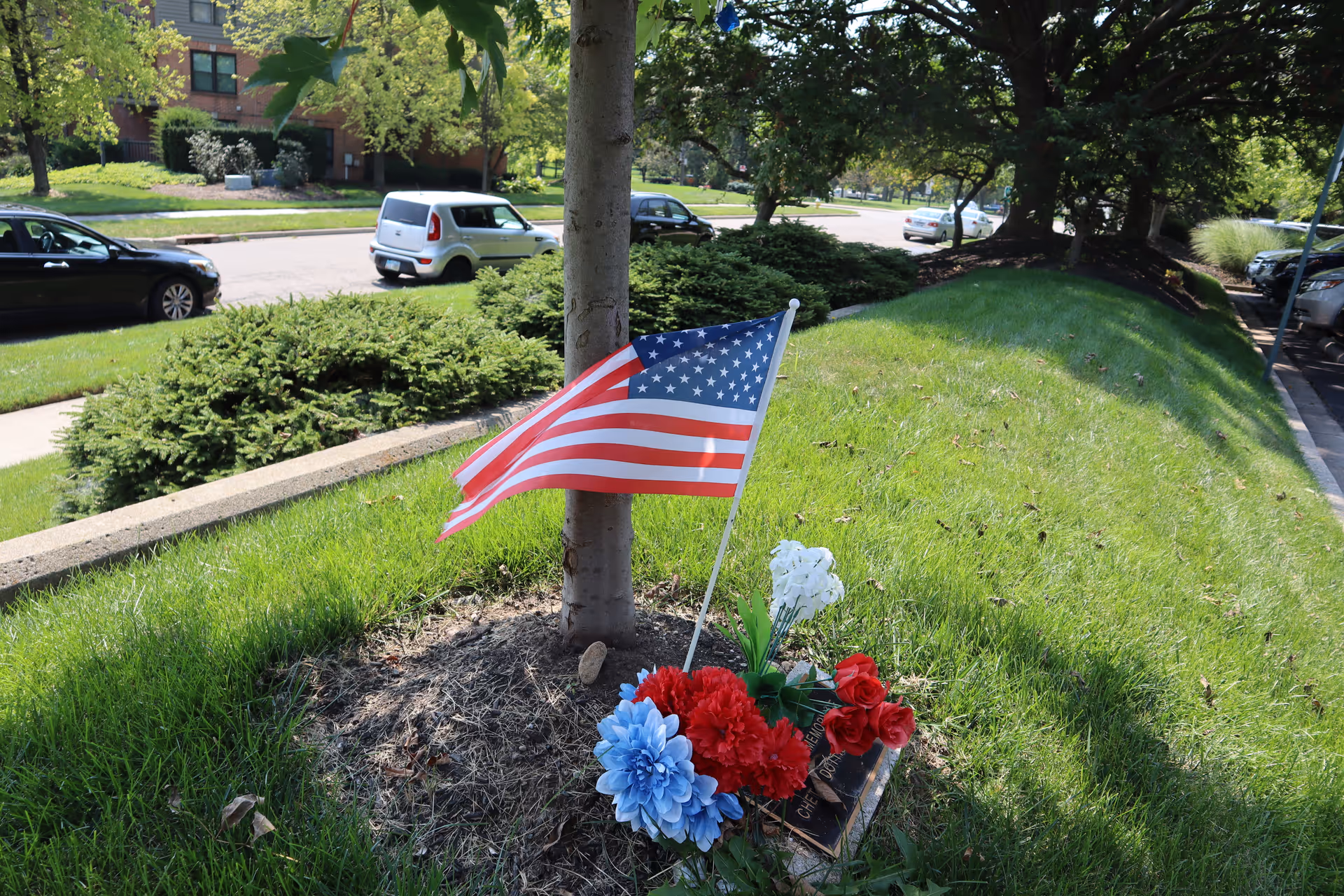 A small memorial at the base of a tree with an American flag and red, white, and blue artificial flowers. The memorial is located on a grassy area near a sidewalk and a street with parked cars and trees in the background.
