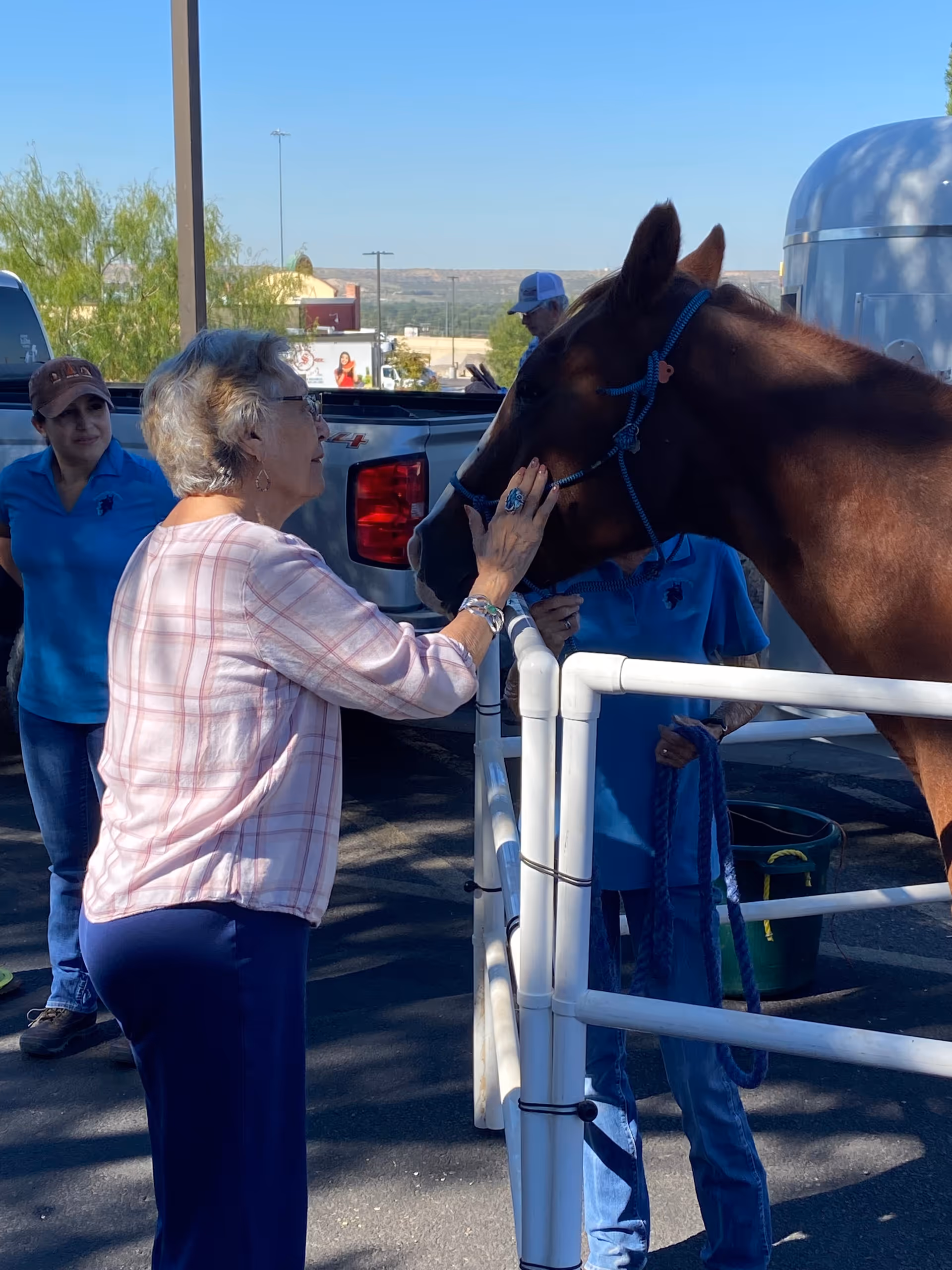 An elderly woman wearing glasses and a plaid shirt gently pets the face of a brown horse that is secured behind a white fence. Two other people in blue shirts and caps stand nearby, one holding the horse's lead rope. The scene takes place outdoors on a sunny day with a clear blue sky and some vehicles and trees in the background.
