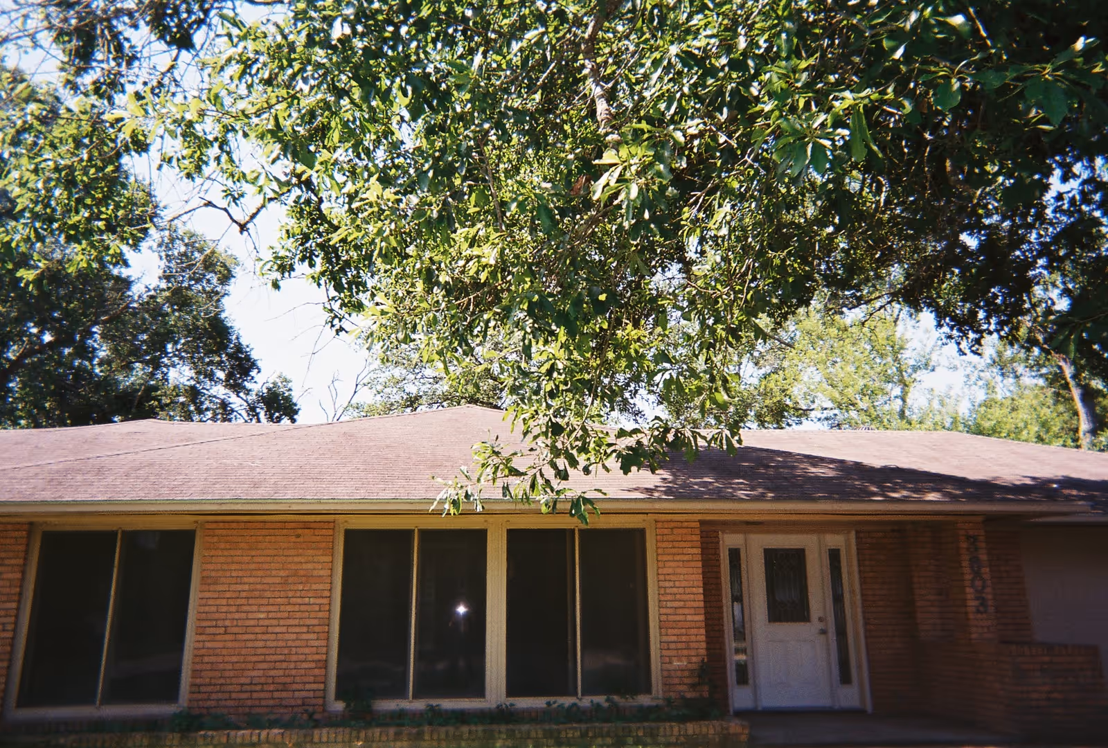 Front exterior view of a single-story brick house with a brown shingle roof, large windows, a white front door, and trees with green leaves partially covering the roof.