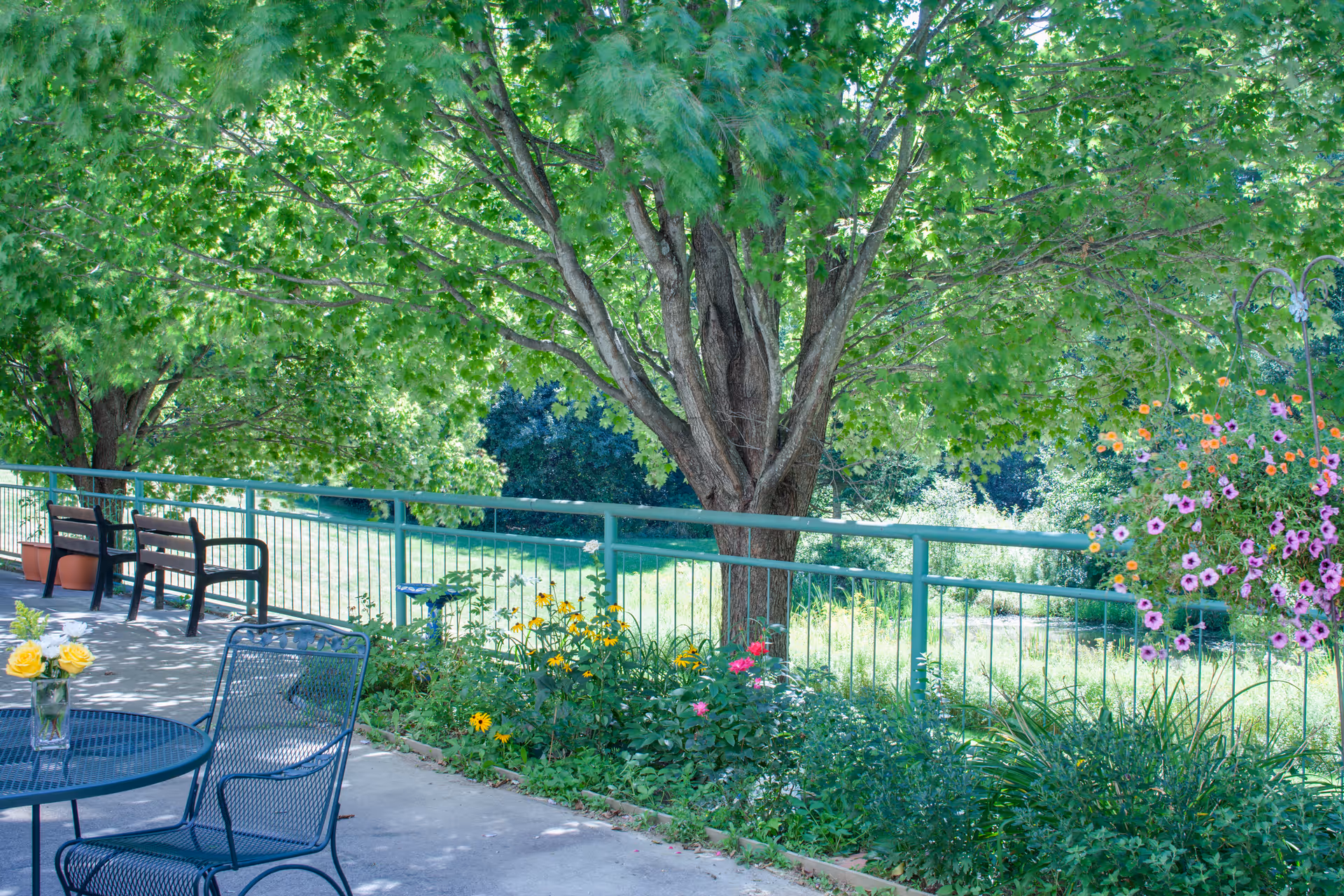 Patio area with a metal table and chairs, benches, a railing, and large trees with flowering plants.