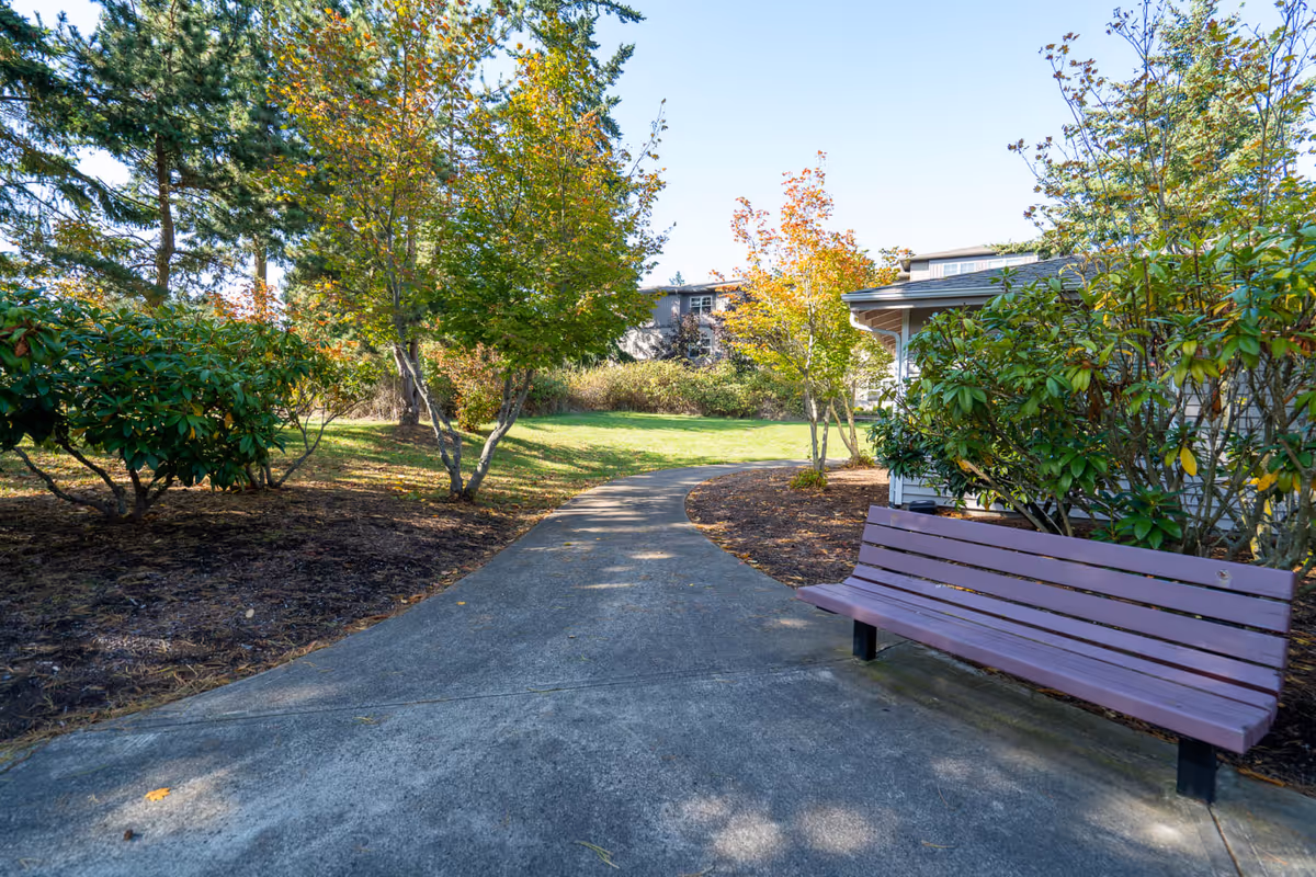 A paved walking path curves through a landscaped outdoor area with green grass, trees with autumn foliage, and bushes. A purple wooden bench is positioned on the right side of the path near a building. The sky is clear and blue.