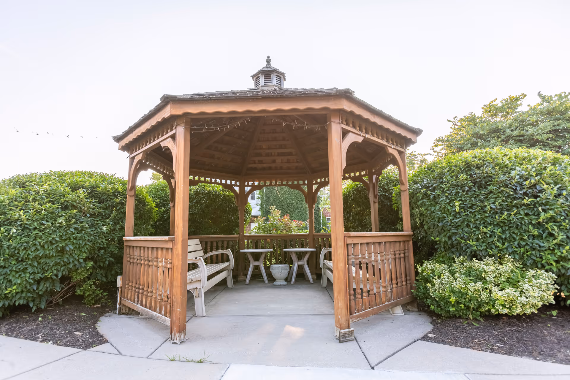 A wooden gazebo with a shingled roof situated outdoors, surrounded by green bushes and plants. Inside the gazebo, there are white benches and small round tables on a concrete floor. The sky is clear and bright.