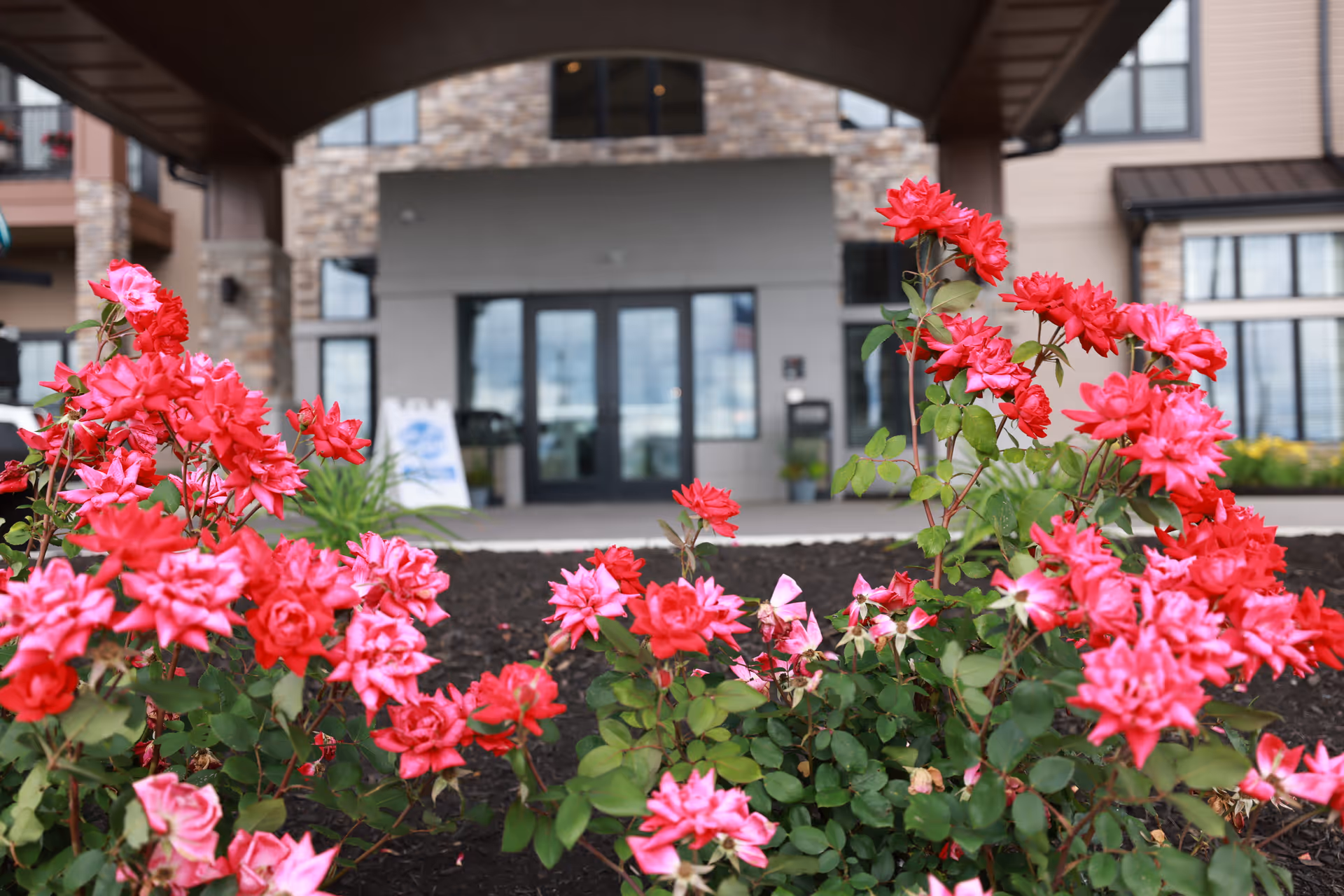 Bright pink and red flowers in the foreground with the entrance of a senior living facility building in the background, featuring glass doors and stone accents.