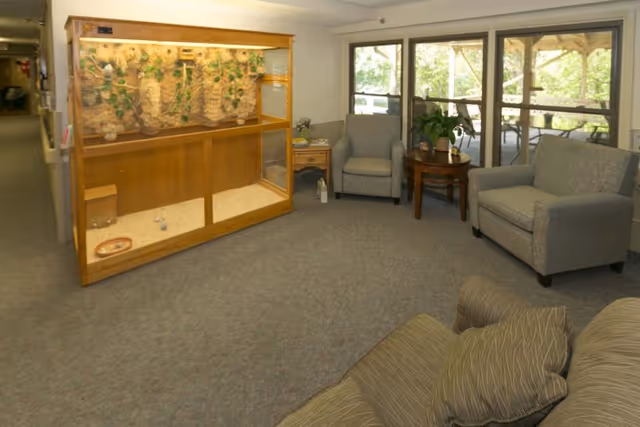 A cozy indoor seating area with a sofa and two armchairs arranged around a small wooden table with a potted plant. Large windows in the background let in natural light and offer a view of greenery outside. To the left, there is a large wooden enclosure with plants and natural decorations inside. The room has carpeted flooring and neutral-colored walls.