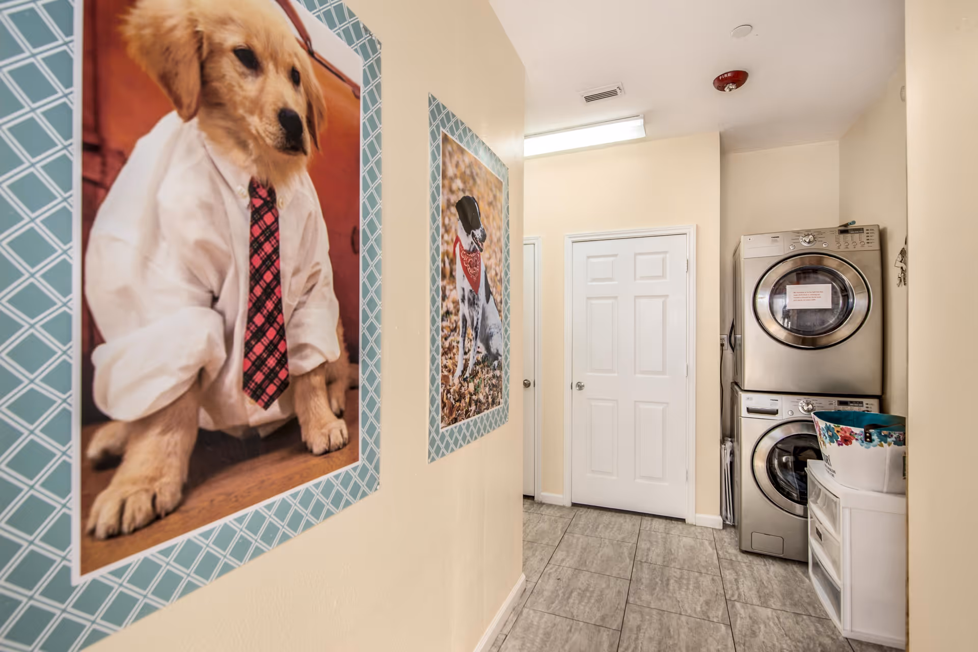 Hallway laundry area with a stacked washer and dryer, tiled floor, and framed dog posters on the wall.