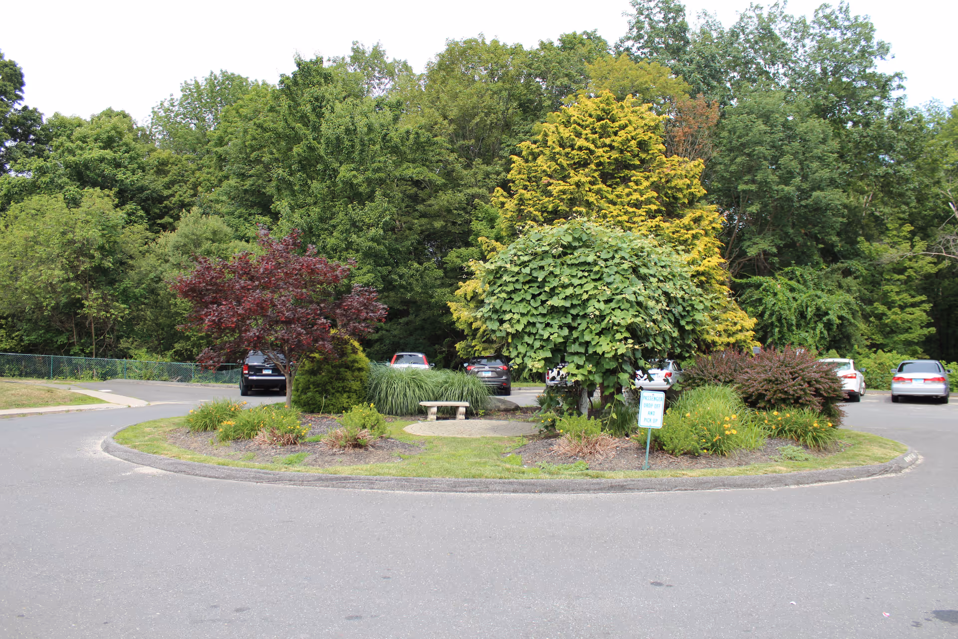 A circular driveway with a landscaped island in the center featuring various trees, shrubs, and a stone bench. Several parked cars are visible around the driveway, and dense green trees form the background.