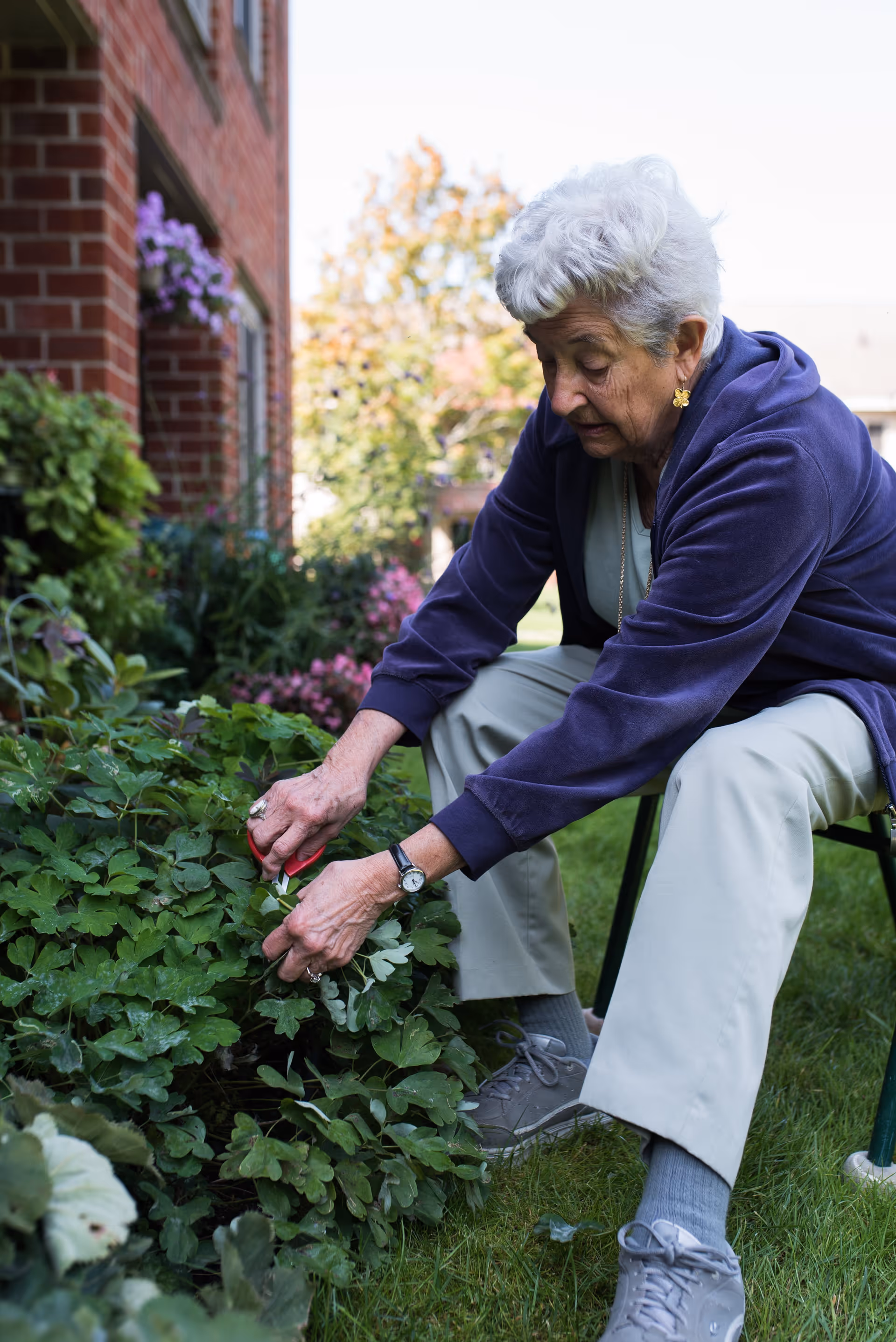An elderly woman with white hair wearing a purple jacket and light-colored pants is sitting on a chair outdoors, tending to green plants in a garden next to a brick building with flowers in the background.