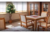 Sunlit dining area with a wooden table and chairs, a potted plant, and a glass-front bookcase by windows.