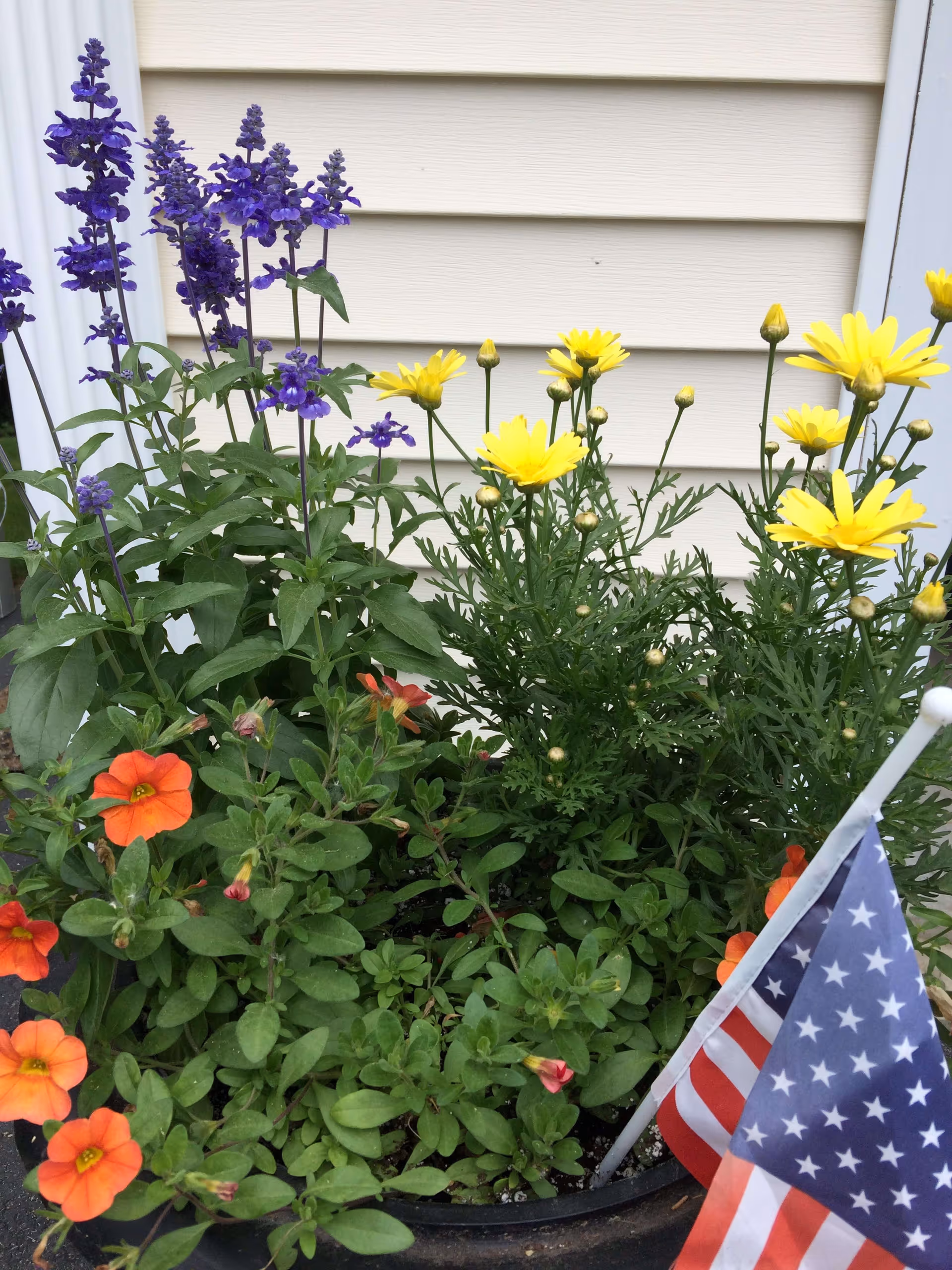 A flower pot with blooming purple, yellow, and orange flowers placed in front of a beige siding wall. Two small American flags are also placed in the pot.