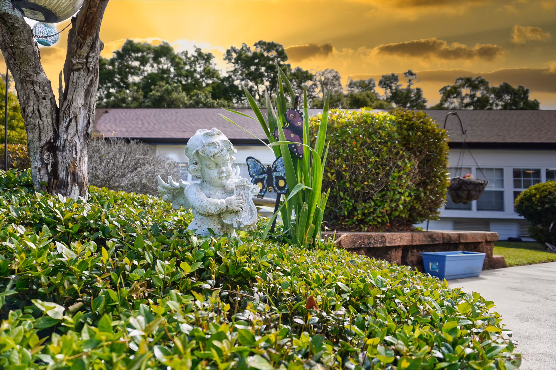 A garden area at Sodalis Pensacola featuring a small white cherub statue playing a lyre, surrounded by green bushes and plants. In the background, there is a building with white walls and windows, a hanging flower basket, and a blue plastic container on the ground. The sky is golden with scattered clouds.