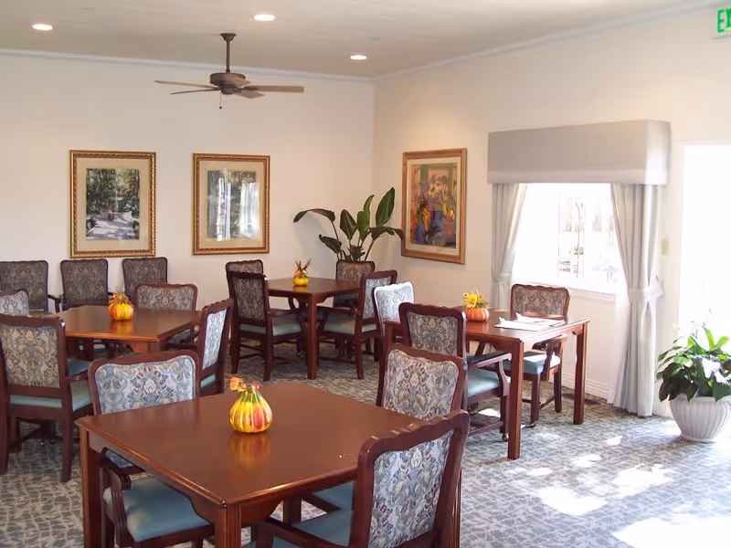 A bright dining room with several wooden tables and cushioned chairs arranged neatly. Each table has a small decorative pumpkin centerpiece. The room has framed artwork on the walls, a ceiling fan, a large window with curtains letting in natural light, and a potted plant near the window.