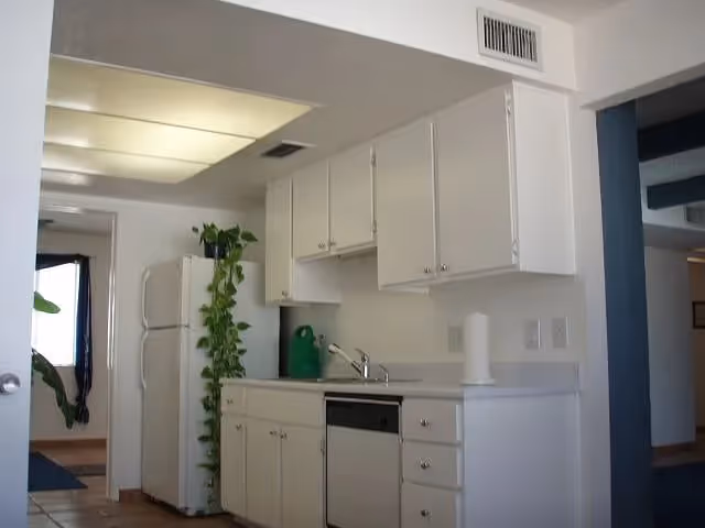 Small kitchenette with white cabinets, sink, dishwasher, refrigerator, and a trailing potted plant.