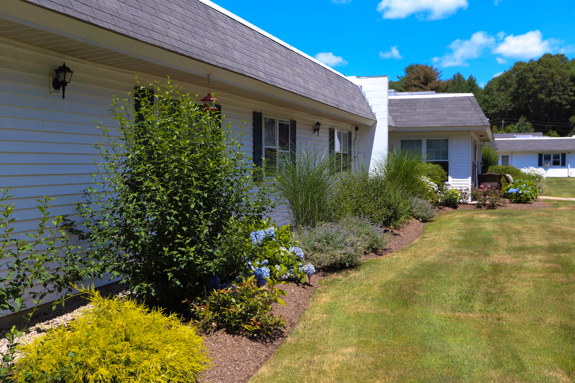 Single-story white building with a manicured lawn, flowerbeds and shrubs under a blue sky.