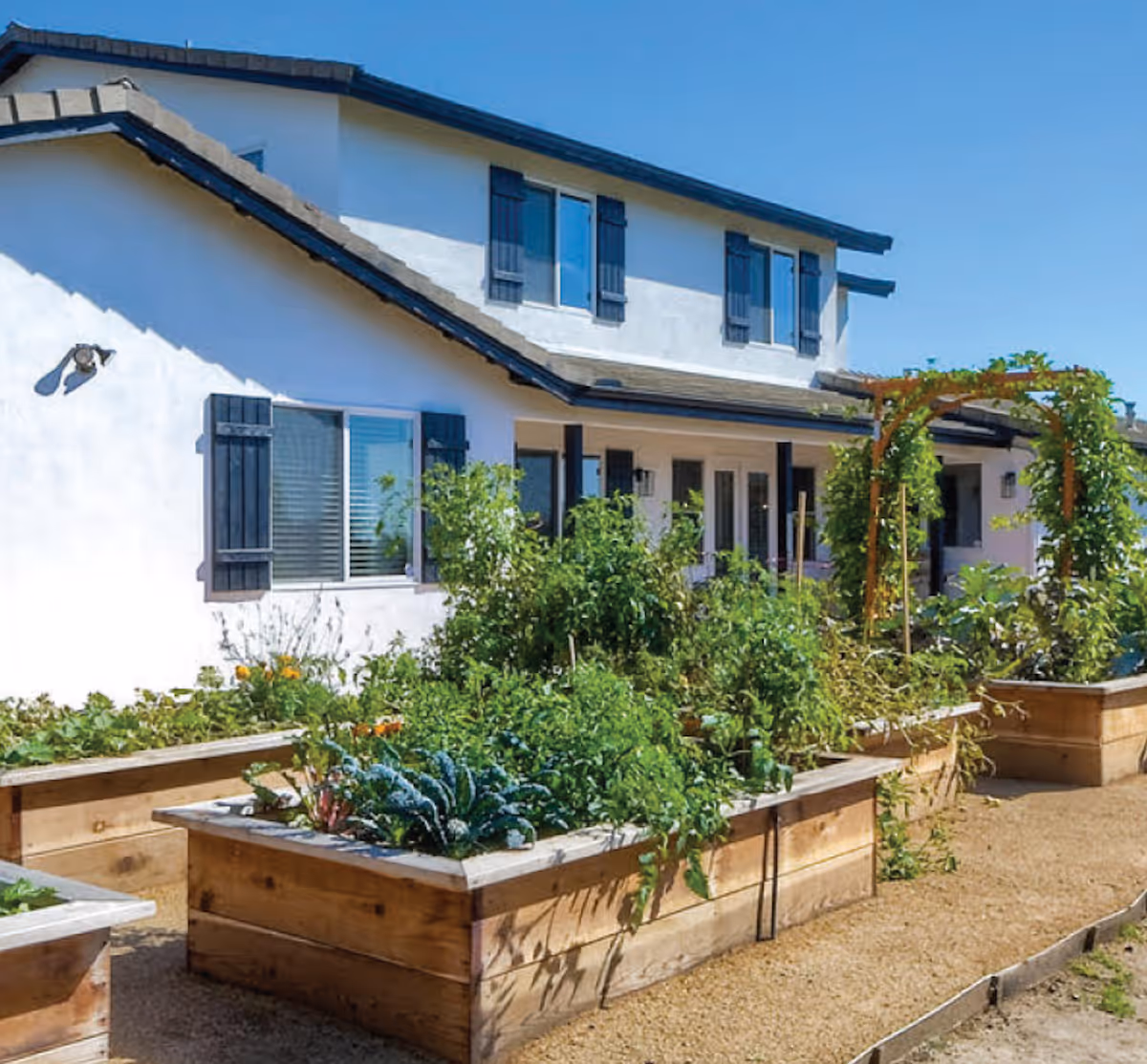 Raised wooden garden beds filled with various green plants and vegetables in front of a white two-story building with black window shutters under a clear blue sky.