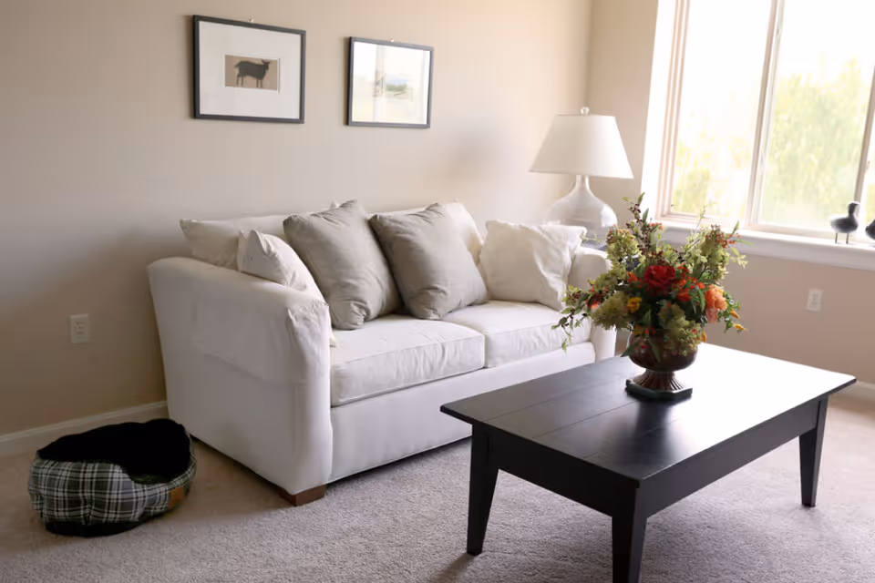 A cozy living room with a white sofa adorned with multiple gray and white cushions. In front of the sofa is a dark wooden coffee table with a vase of colorful flowers. A white table lamp is placed on a side table next to the sofa, and two framed pictures hang on the beige wall behind. A window on the right side lets in natural light, and a plaid pet bed is on the carpeted floor near the sofa.