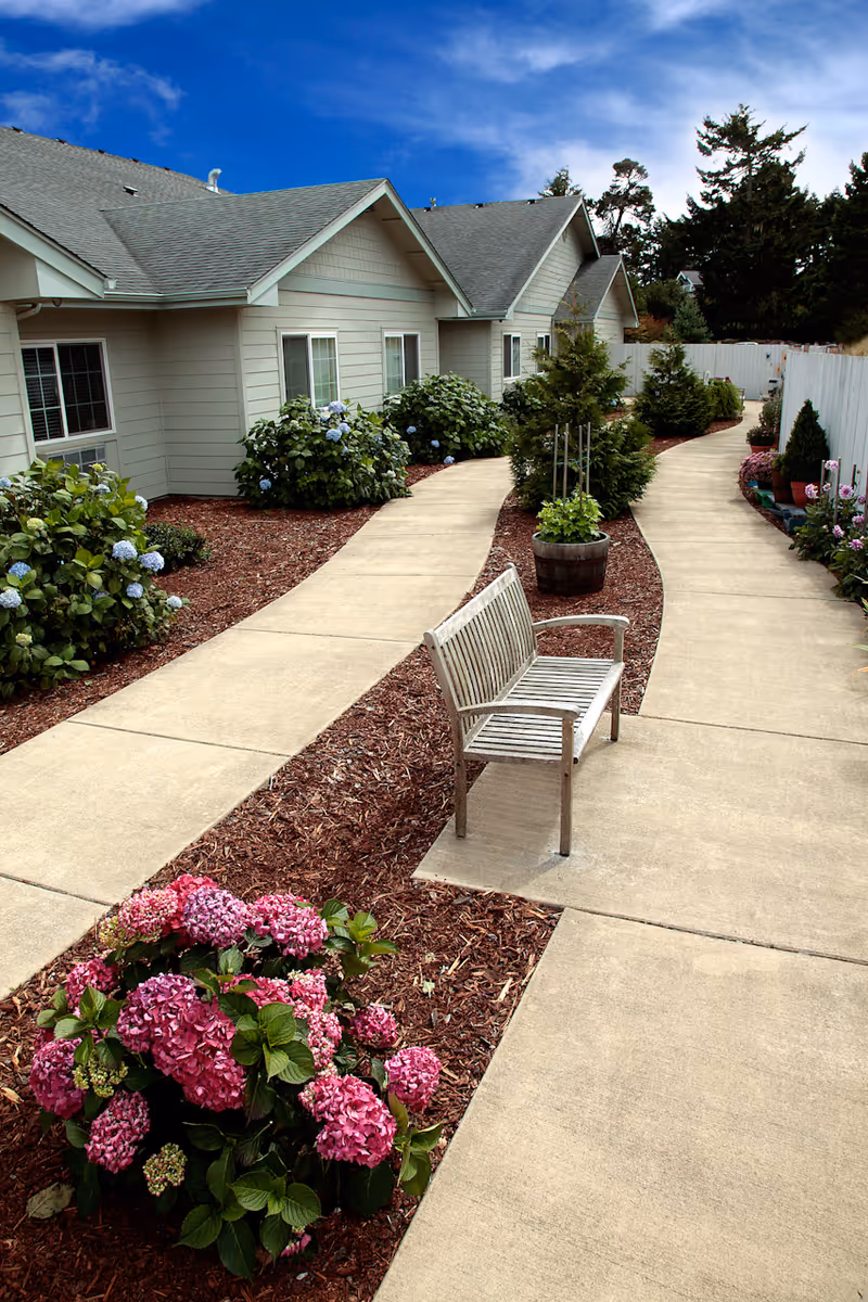 A landscaped outdoor walkway at Spruce Point Assisted Living and Memory Care Community featuring a concrete path that splits around a wooden bench. The path is bordered by mulch beds with blooming pink and blue hydrangea bushes and other greenery. The building exterior is light-colored with multiple windows, and a white fence runs along the right side. The sky is clear and blue with some clouds.