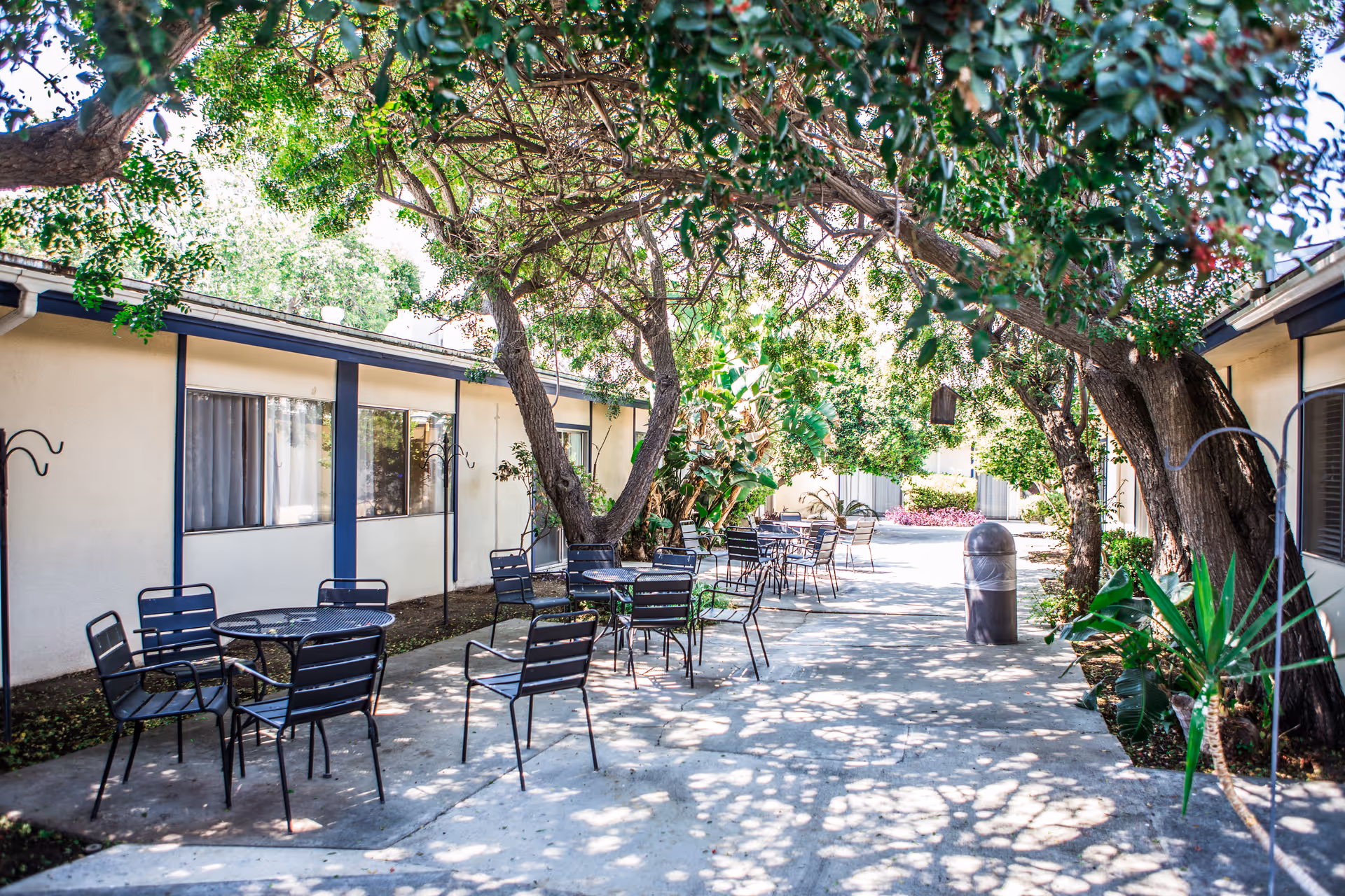 Outdoor patio area at a senior living facility with several black metal tables and chairs arranged along a concrete pathway. The area is shaded by large trees with green foliage, and the building walls with windows are visible on both sides. There is a trash can placed along the pathway.