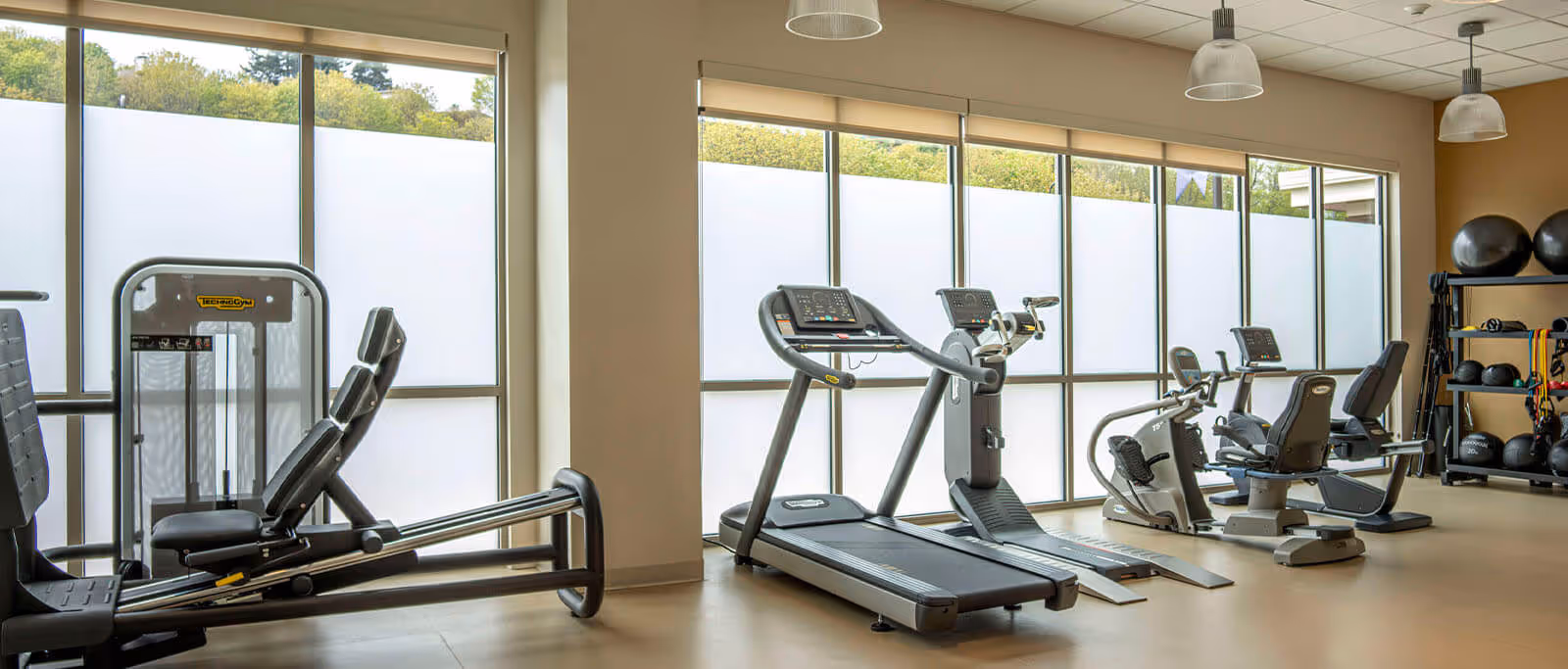 Fitness room with treadmills, recumbent bikes, weight machines and exercise balls in front of frosted windows.